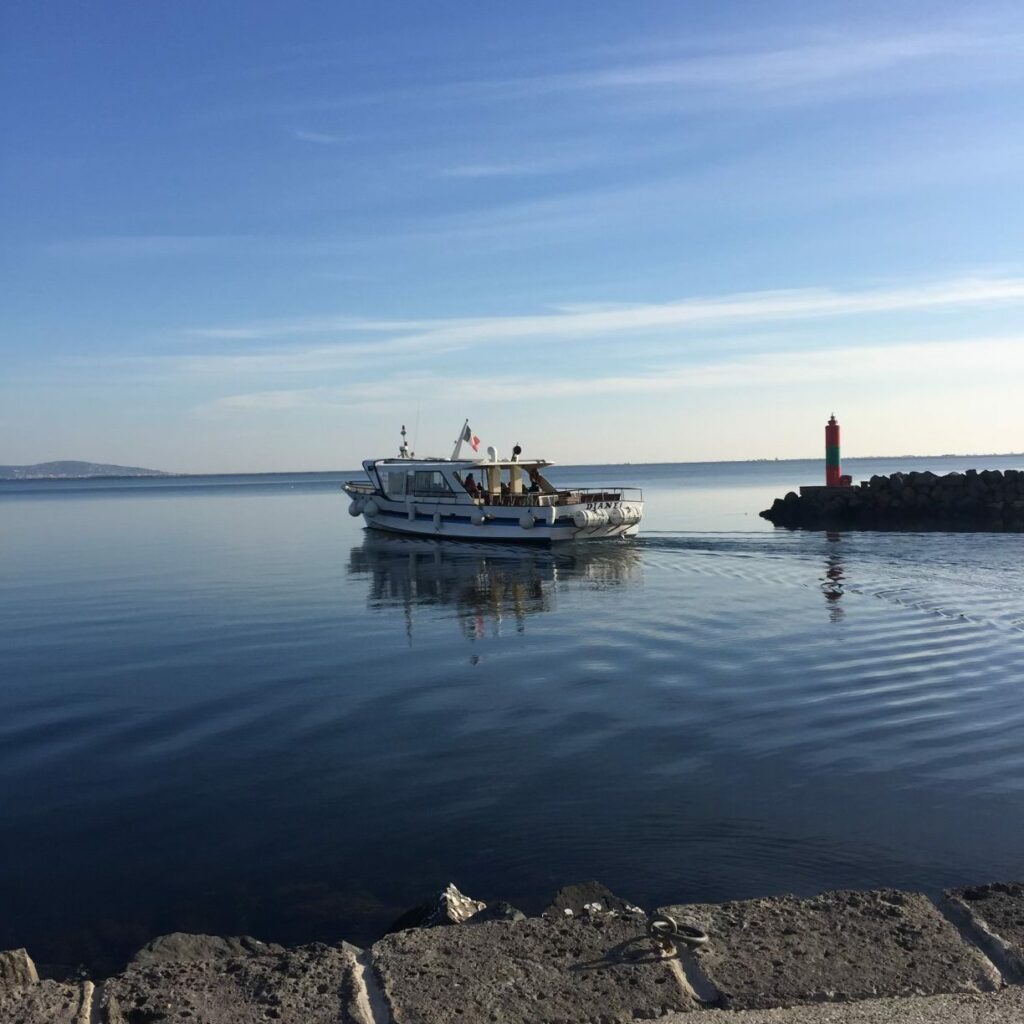 Évasion en bateau à Marseillan sur l’étang de Thau – croisière détente en famille ou entre amis à bord de L’Étoile de Thau IV, vue panoramique sur le port, tourisme nautique en Occitanie
